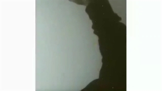 تنها شم یه عالمه:(