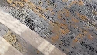 فرش کهنه نما (وینتیج) طرح لیوسا | دیجی دکوری