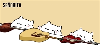 آهنگ سنیوریتا به سبک گربه ای...*-*