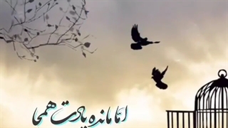 دلم‌ تنگه خواهرم