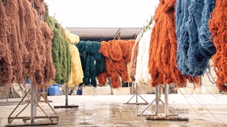 تیزر تبلیغاتی طرح اشتغال زایی کمیته امداد امام خمینی (ره) | رشد نو