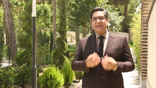 استراتژی بازار نزولی یا خرسی