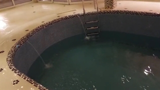 عوامل موثر در هزینه ساخت استخر طبیعت سازان