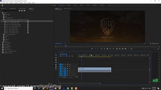 پریست لرزش دست برای پریمیر