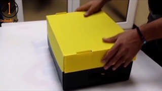 جعبه های میوه فلفل