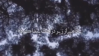 سحر جعفری کروکانی
