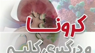 آیا کرونا می تواند به کلیه آسیب برساند؟