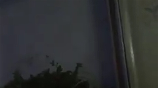 فیلمبردار-حسام الدین شفیعیان