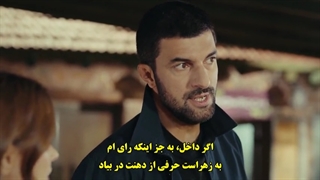 سریال دختر سفیر قسمت 25 با زیرنویس چسبیده - دی ال مکوین 1080 رایگان بیست و پنجم