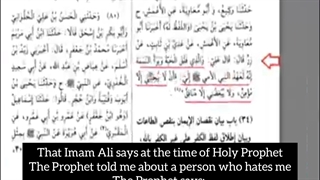 Majority of Companions insults Imam Ali[Sunni resources]