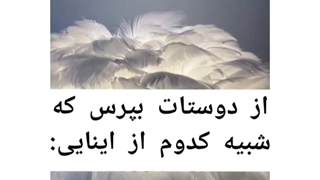 شبیه کدومی؟