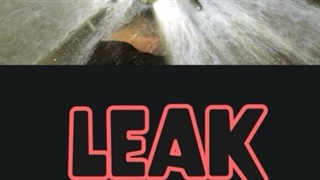 Is your memory leaking?