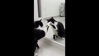 خنده دار ترین میم های یوتیوب قسمت 15