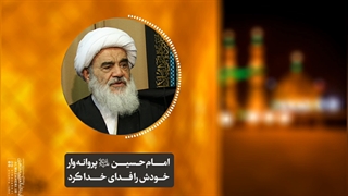 امام حسین«ع» پروانه‌وار خودش را فدای خدا کرد(آیت الله العظمی مظاهری)