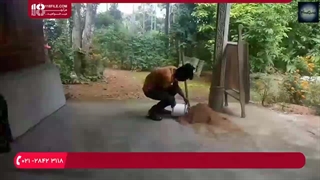 آموزش مرحله به مرحله ساخت استخر سیمانی برای پرورش ماهی خاویار