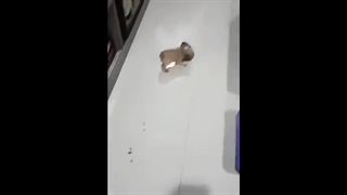 خنده دار ترین میم های یوتیوب قسمت 23