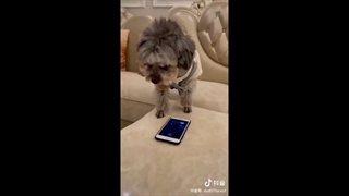 واقعا لایک داره