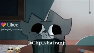 وقتی میپرسن استعدادت چیه؟خب عام تا5صبح بعضی موقع ها بیدارمواره من سریالای کیدراماروتوی روزتموم میکنم/نه/اره شدید/گشادیمیشه نمیرم