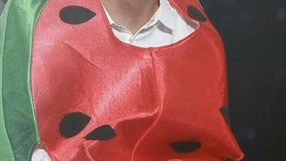 بی تی اس چیبی