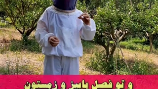 انواع عسل رو بشناس