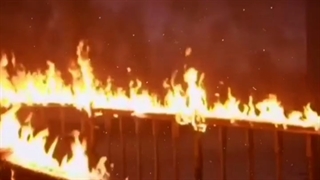 وای جی پرده سبز نمیشناسه