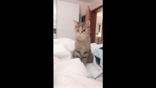 خنده دار ترین میم های یوتیوب قسمت 44