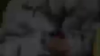 چیزی فکر میکنن بیلی هست vs واقعیت 0-0