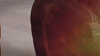 مشاهده مجسمه دست ساز چوبی خرس خجالتی