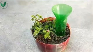 سیستم آبیاری خودکار گیاهان