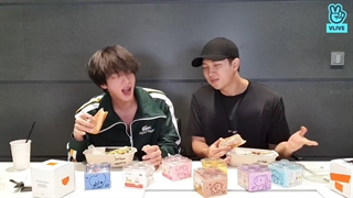 ویلایو نامجون و جین (بی تی اس) + زیرنویس فارسی