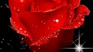 کپپپپپپپپپپپپپپپپ مهمممم