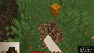 ماینکرفت سروایول جاوا_ساخت فارم کدو 11#