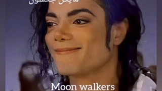 فندوم ها