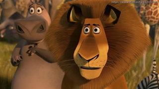 انیمیشن ماداگاسکار 2 | (Madagascar : Escape 2 Africa (2008