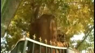 امام زاده یحیی(ع)سرچشمه تهران