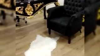 مبلمان اداری کلاسیک