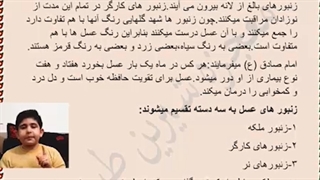 معجزه شیرین طبیعت