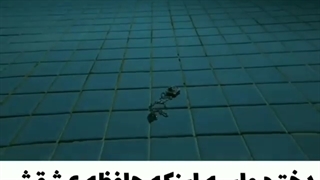 کلیپی زیبا از پسران برتر از گل