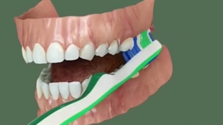 چگونه مسواک بزنیم ؟