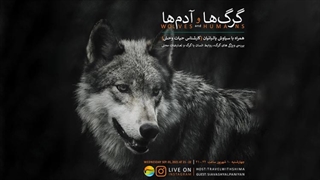 گفتگو درباره گرگ‌ها در ایران