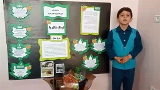 لیسک شکم پا