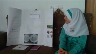 تأثیر ویتامین E بر گیاه