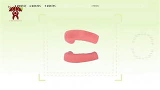 سن رویش دندان های شیری| دکتر ماریتا شکاریان