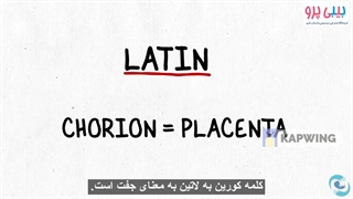 ویدیو جالب از بارداری دو قلو با زیر نویس اختصاصی (بیبی پرو، ترجمه مهتاب تبریزی)