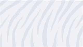 آرایشگاه زنانه