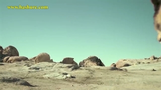 تریلر فیلم پرفروش طرلان