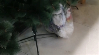 درخت کریسمس سبز سایز بزرگ 180 سانت ، 210 و 240 سانت