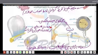 زیست استاد برزین جلسه یازدهم پایه دوازدهم
