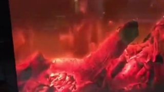 نمای شومینه برقی