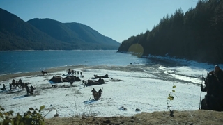 سریال See - فصل 1 قسمت 7 با دوبله فارسی